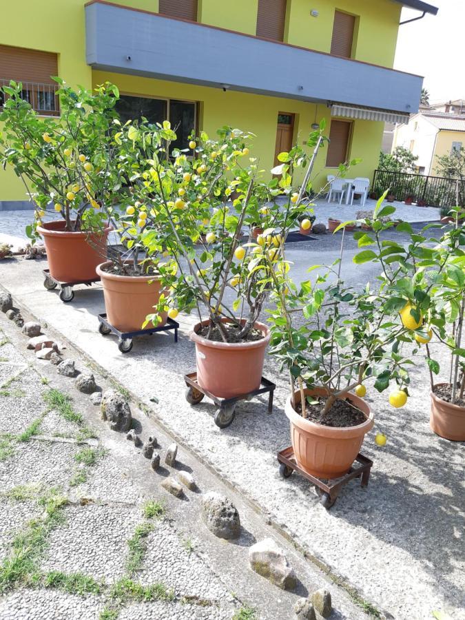 Villa Casa Gli Ulivi Montepulciano Stazione Exterior foto
