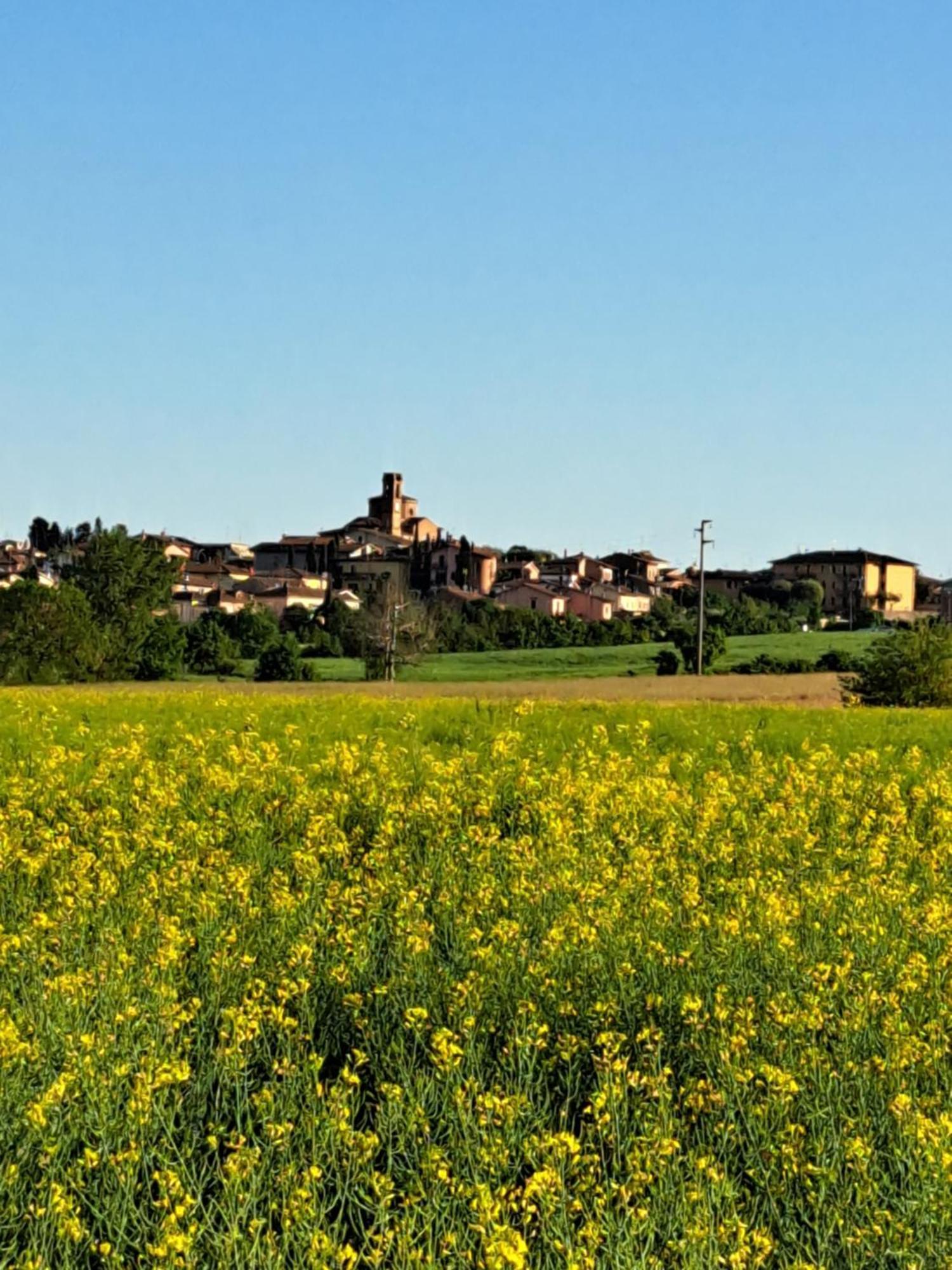Villa Casa Gli Ulivi Montepulciano Stazione Exterior foto